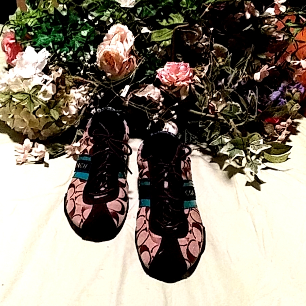 Coach shoes (495)